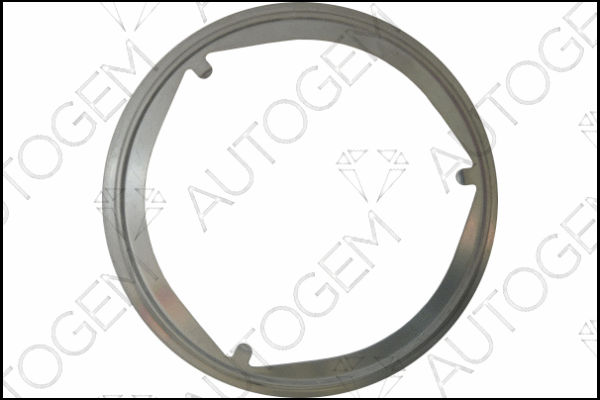 Gasket, exhaust pipe (CEG4215)