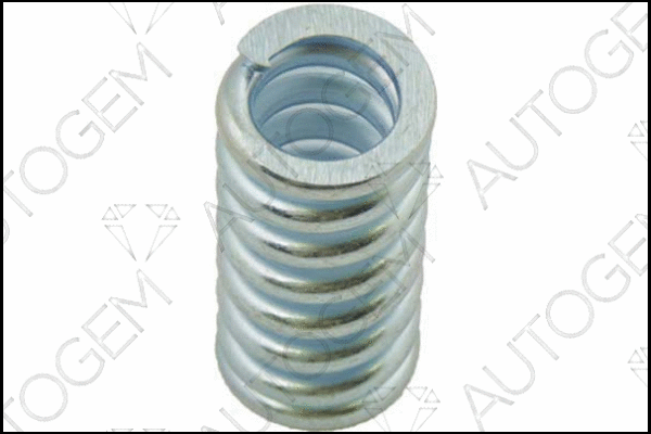 Spring, muffler (CSC76)
