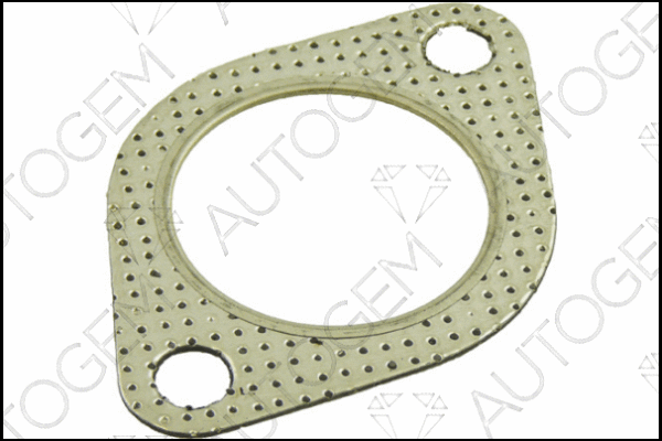 Gasket, exhaust pipe (CEG478)