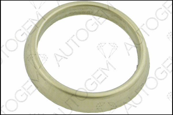 Seal Ring, exhaust pipe (EG81)