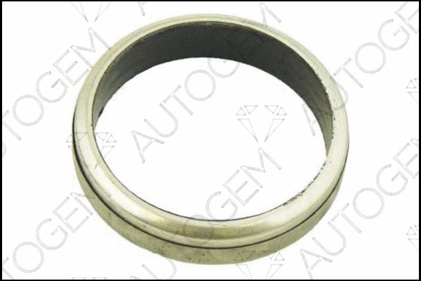Seal Ring, exhaust pipe (EG03)