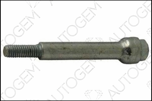 Bolt, exhaust system (EMS41)