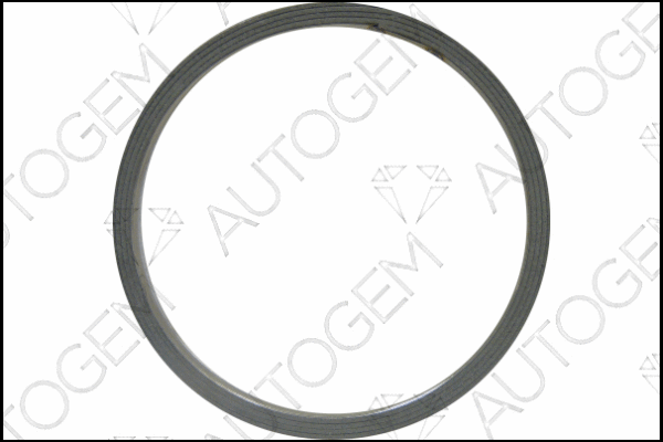 Seal Ring, exhaust pipe (CEG8813)