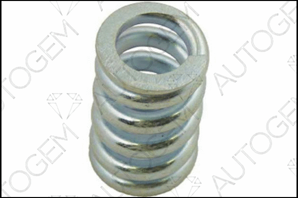 Spring, muffler (CSC130)
