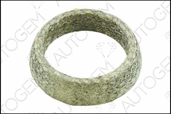 Seal Ring, exhaust pipe (CEG697)