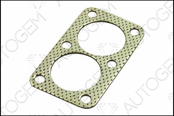 Gasket, exhaust pipe (CEG37)