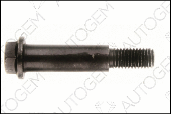 Bolt, exhaust system (EMS24)