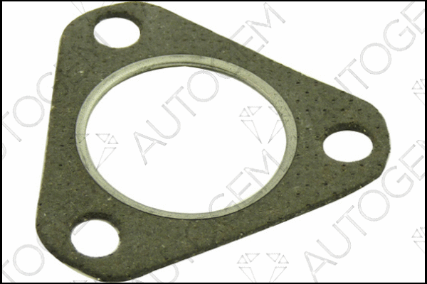 Gasket, exhaust pipe (CEG153)