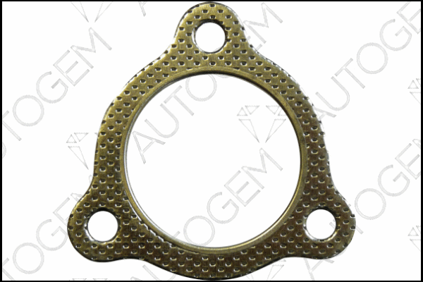 Gasket, exhaust pipe (EGA797)