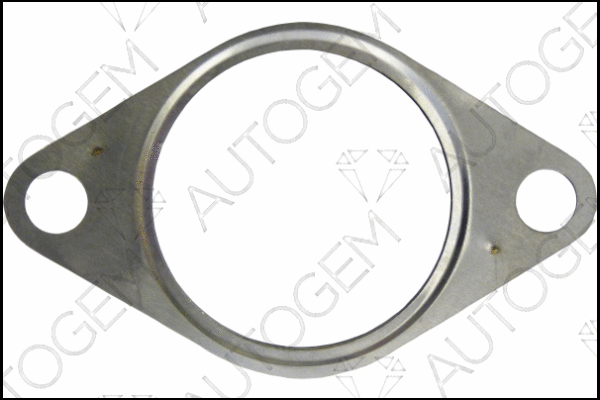 Gasket, exhaust pipe (CEG6113)