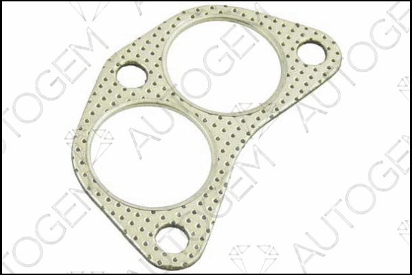 Gasket, exhaust pipe (EG44)