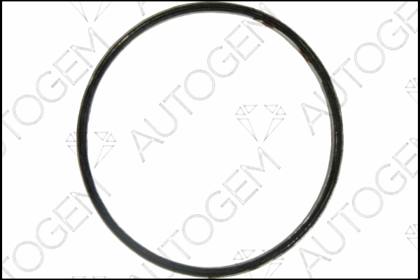 Seal Ring, exhaust pipe (CEG321)