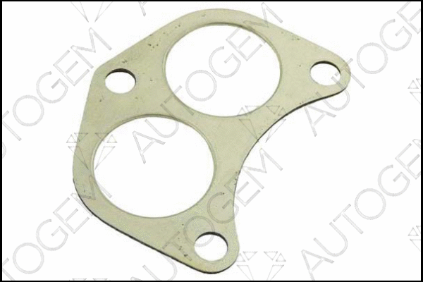 Gasket, exhaust pipe (EG34)