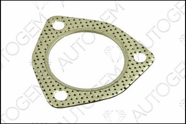 Gasket, exhaust pipe (CEG214)