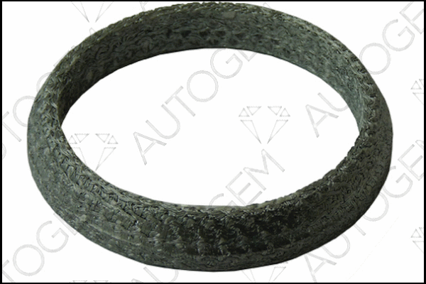 Seal Ring, exhaust pipe (CEG837)