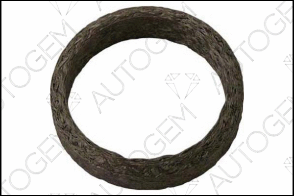 Seal Ring, exhaust pipe (CEG215)
