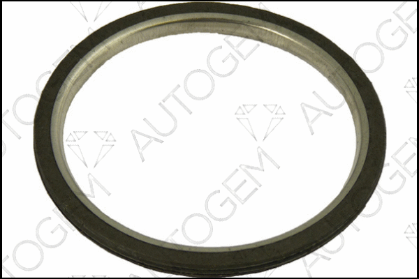 Seal Ring, exhaust pipe (CEG926)