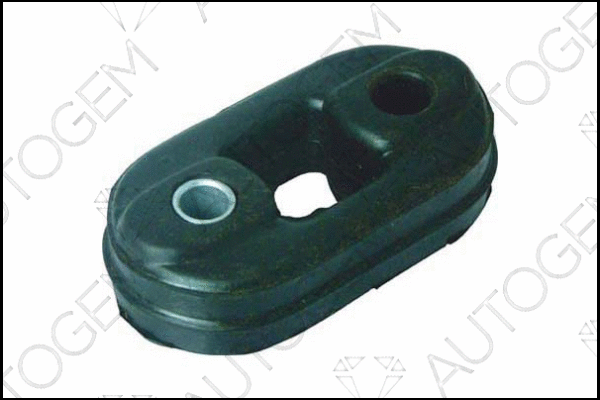 Mount, exhaust system (CSM310)