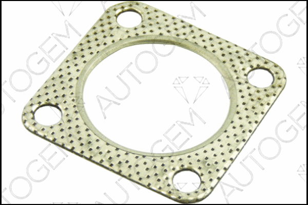 Gasket, exhaust pipe (CEG793)