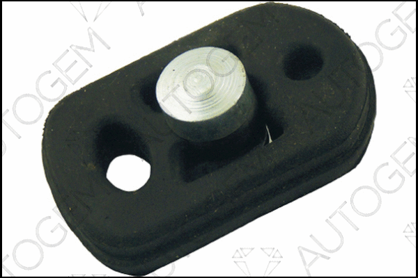 Mount, exhaust system (CSM495)