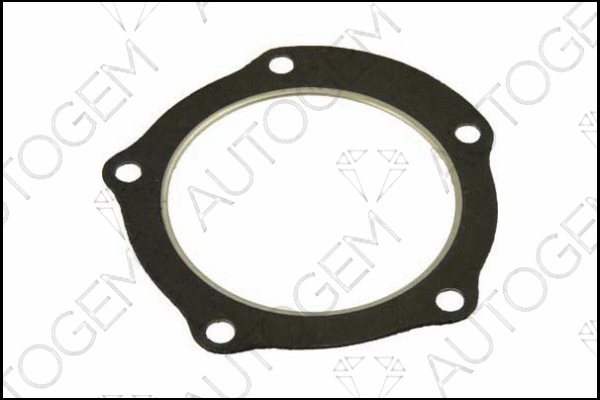 Gasket, exhaust pipe (CEG657)