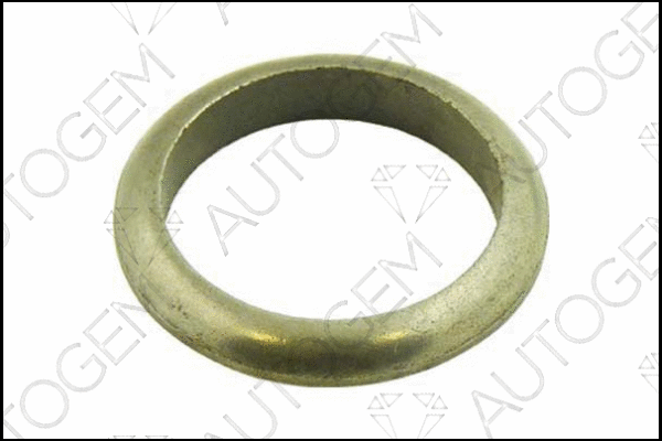 Seal Ring, exhaust pipe (CEG41)
