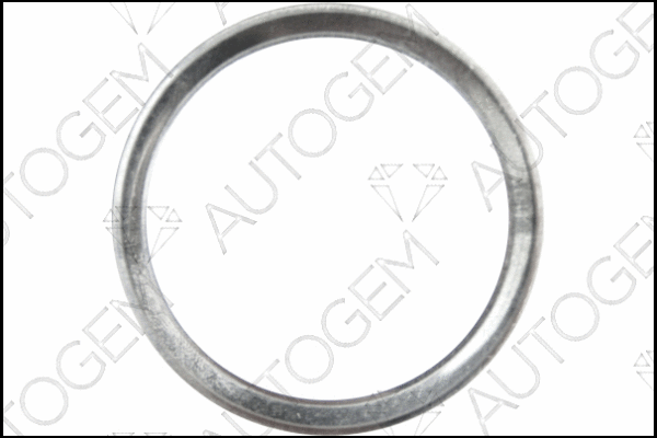 Gasket, exhaust pipe (CEG7527)