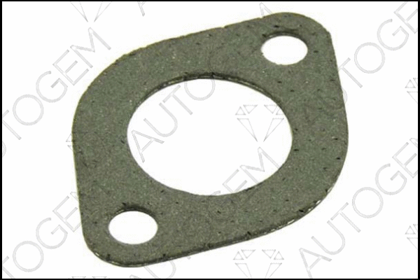 Gasket, exhaust pipe (CEG21)