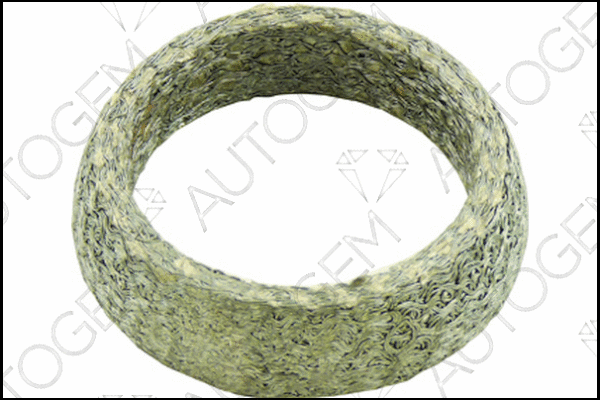 Seal Ring, exhaust pipe (CEG592)