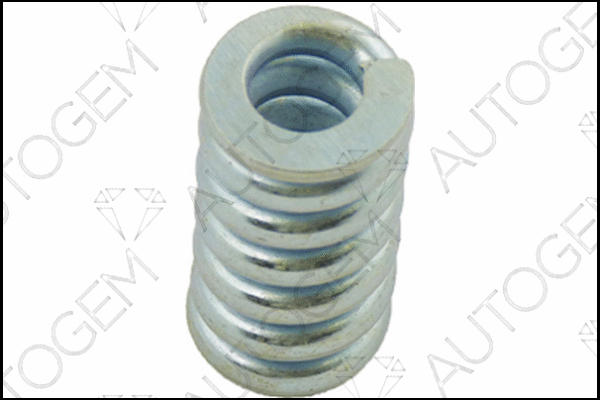 Spring, muffler (CSC227)