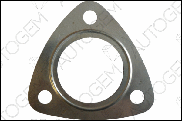 Gasket, exhaust pipe (CEG9570)