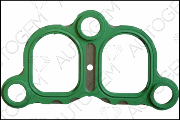 Gasket, intake manifold (CSM985)