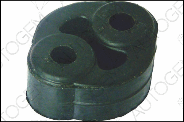 Mount, exhaust system (CSM613)