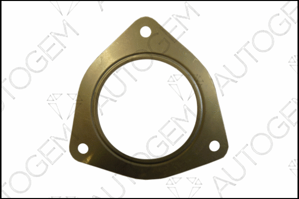 Gasket, exhaust pipe (CEG7818)