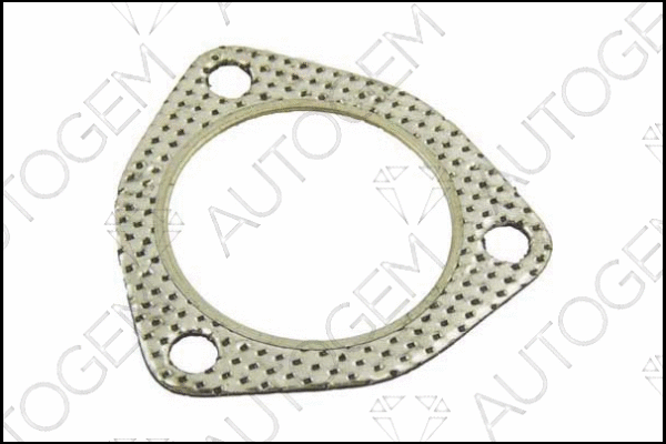 Gasket, exhaust pipe (CEG166)
