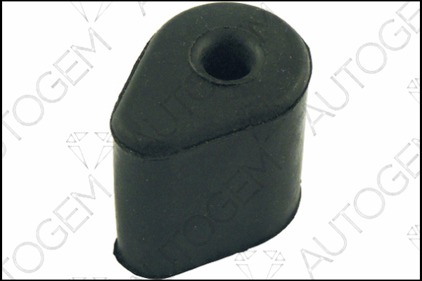 Mount, exhaust system (CSM466)