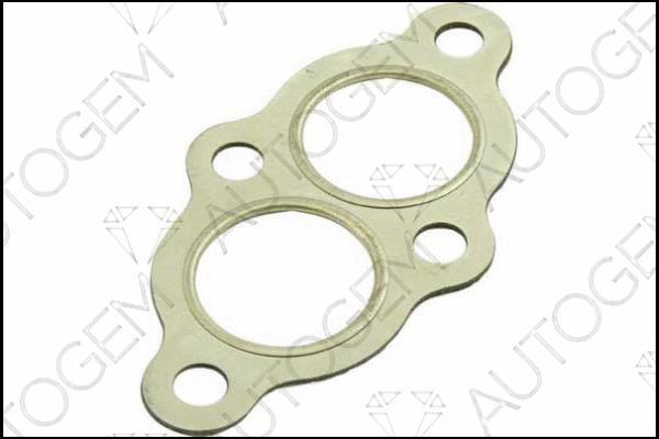 Gasket, exhaust pipe (CEG86)