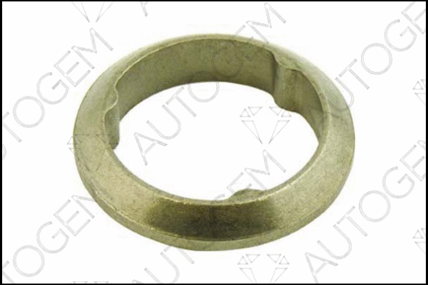 Seal Ring, exhaust pipe (CEG145)