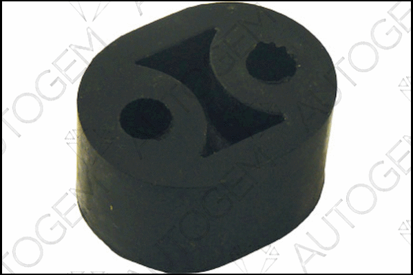 Mount, exhaust system (CSM303)