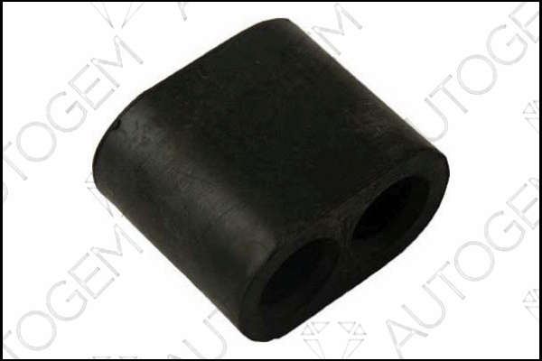 Mount, exhaust system (CSM71)