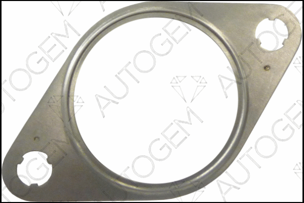 Gasket, EGR valve (CEG5630)
