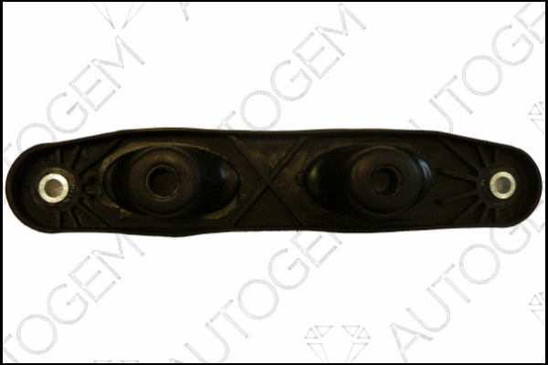 Mount, exhaust system (CSM976)