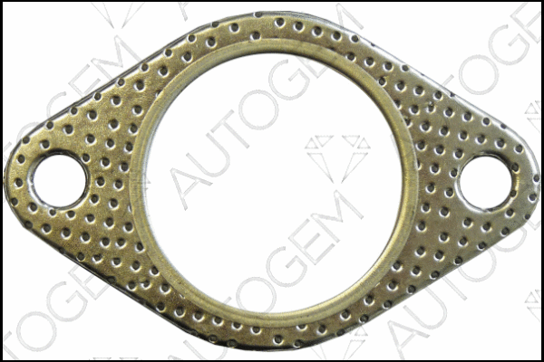Gasket, exhaust pipe (CEG6106)