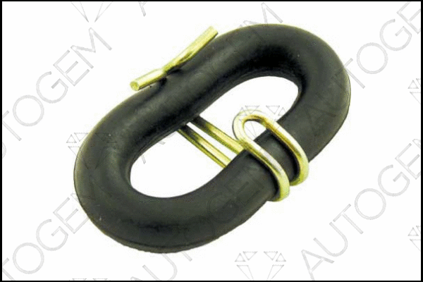 Mount, exhaust system (CSM34)
