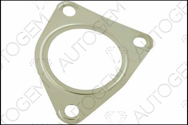 Gasket, exhaust pipe (EG94)