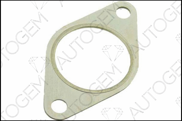 Gasket, exhaust pipe (EG87)