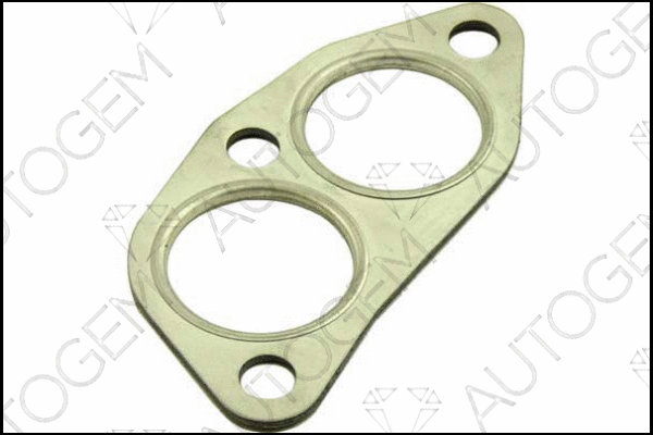 Gasket, exhaust pipe (CEG14)