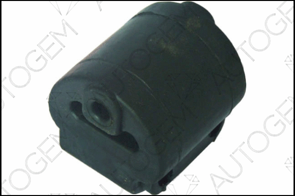 Mount, exhaust system (CSM599)