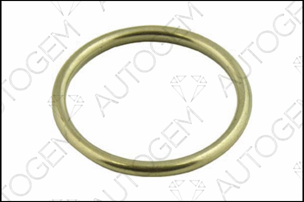 Seal Ring, exhaust pipe (CEG50)