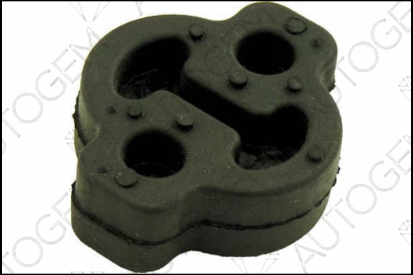 Mount, exhaust system (CSM101)